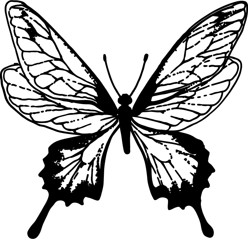 Vinyltæpper med dyr graceful butterfly outline - TenStickers