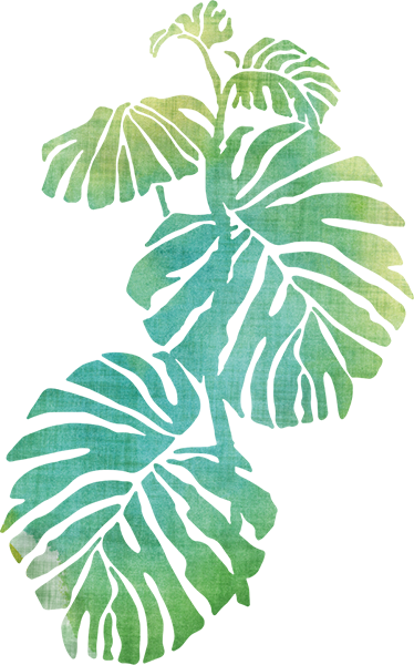 Blomster og planter vinyltæppe aquarella adams rib - TenStickers