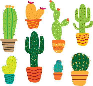 Blomster og planter vinyltæppe farverig kaktuspakke - TenStickers