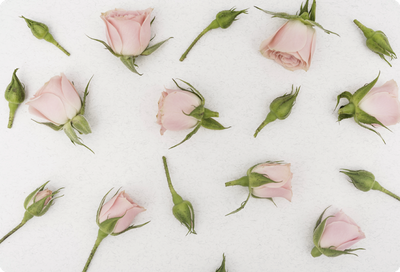 Blomster og planter vinyltæppe romantisk forårsbloemster - TenStickers