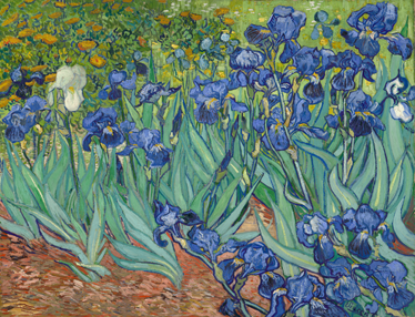 Blomster og planter vinyltæppe van gogh blomster - TenStickers