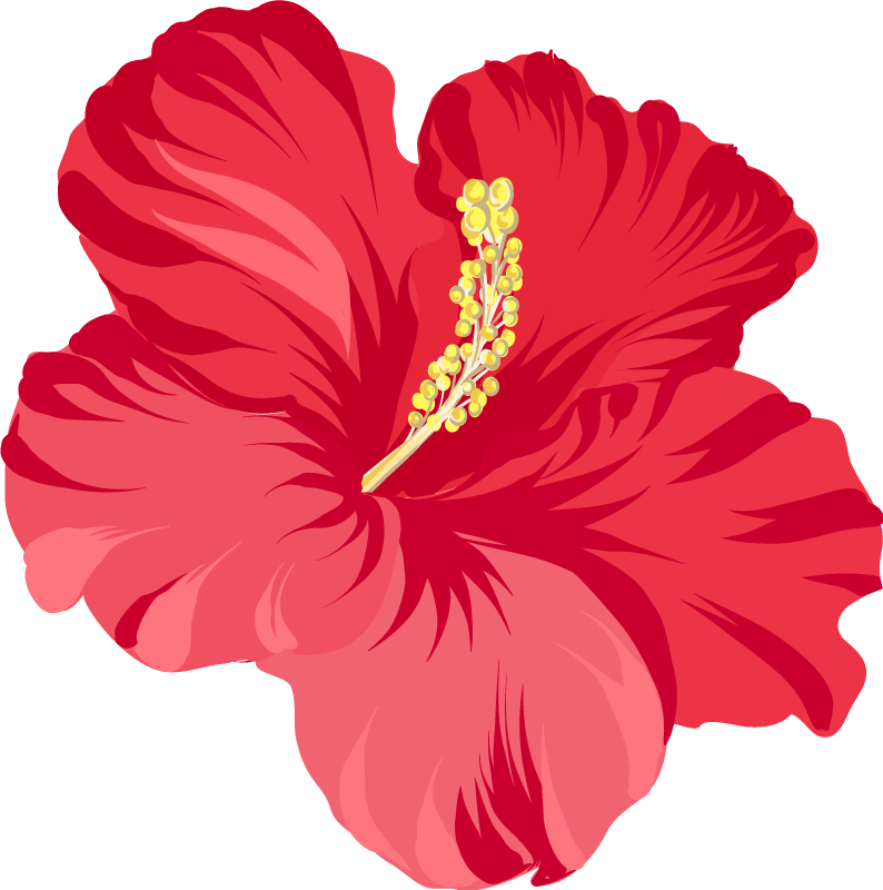 Blomster og planter vinyltæppe rød hibiscus sæt - TenStickers