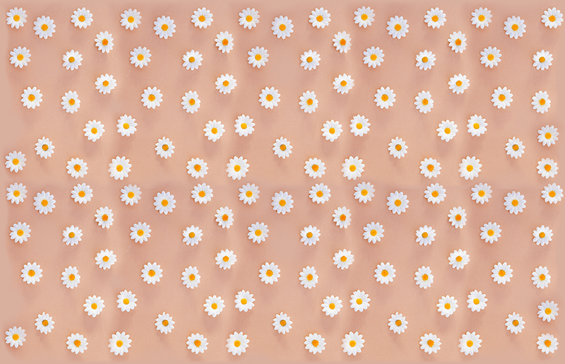 Blomster og planter vinyltæppe moderne tusindfryd mønster - TenStickers