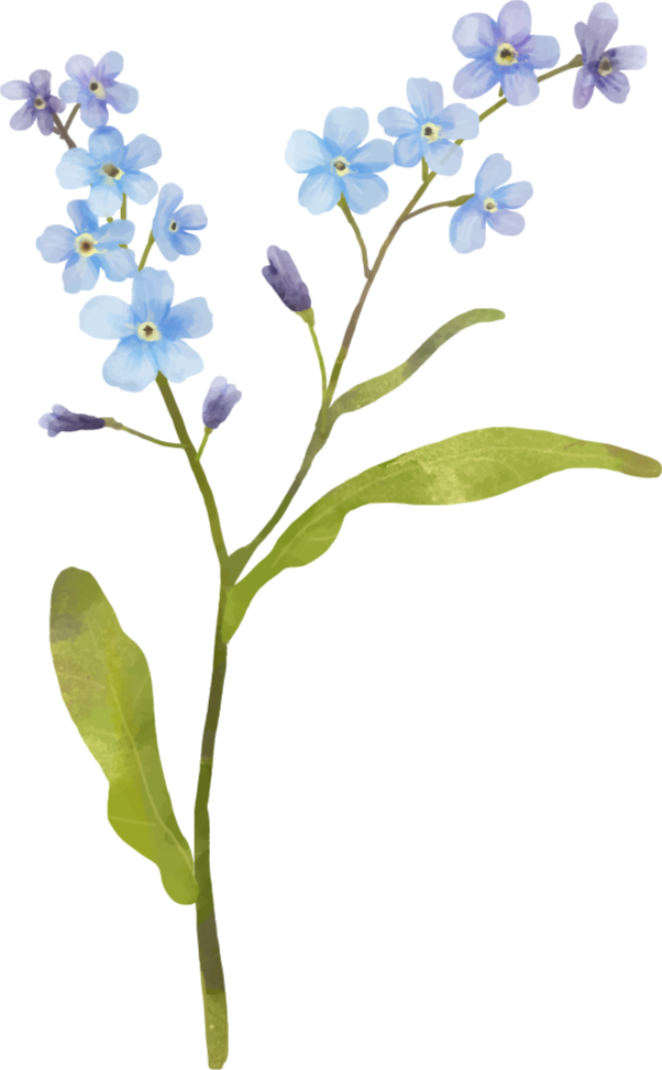 Blomster og planter vinyltæppe i elegant blå plante - TenStickers