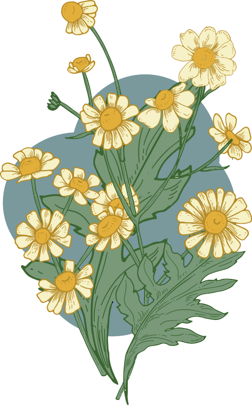 Blomster og planter vinyltæppe livlig blomsterkomposition - TenStickers