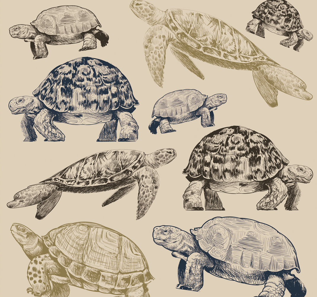 Vinyltæppe til soveværelse med skildpadder på beige baggrund - TenStickers