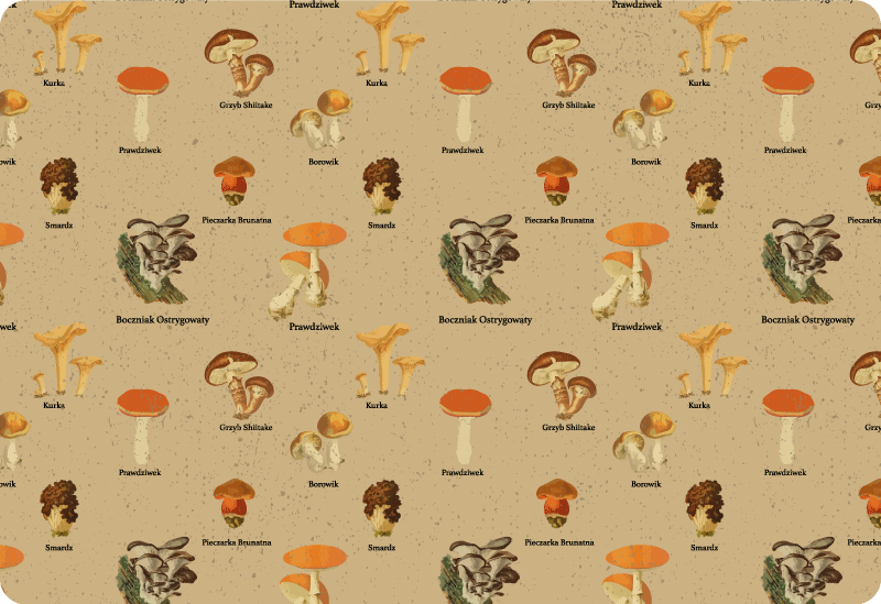 Natur vinyl tæppe med vintage svampe typer - TenStickers