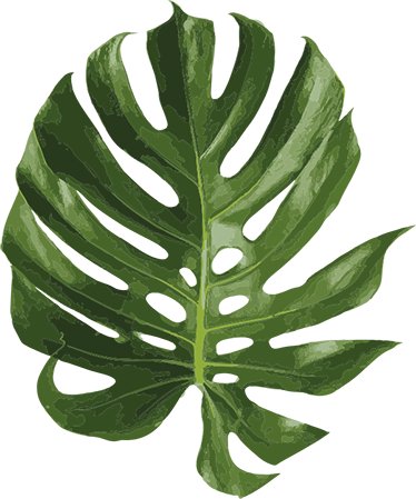 Blomster og planter vinyltæppe lækker monstera blad - TenStickers