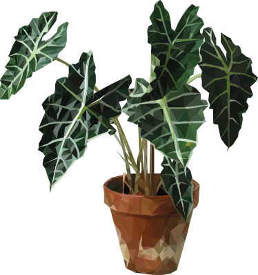 Blomster og planter vinyltæppe geometrisk potteplante - TenStickers