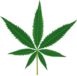 Blomster og planter vinyltæppe marihuana blad - TenStickers