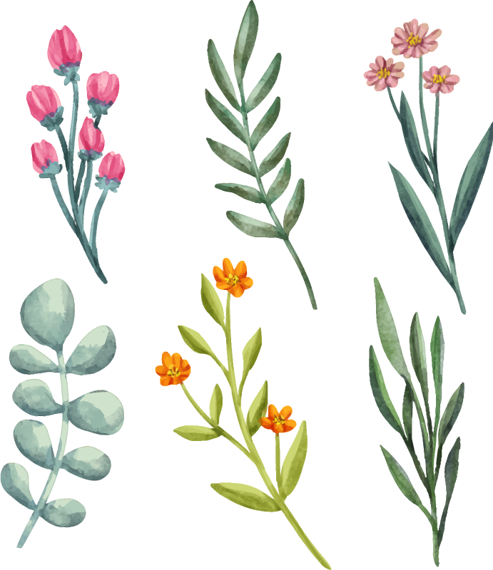 Blomster og planter vinyltæppe med plantegrene - TenStickers