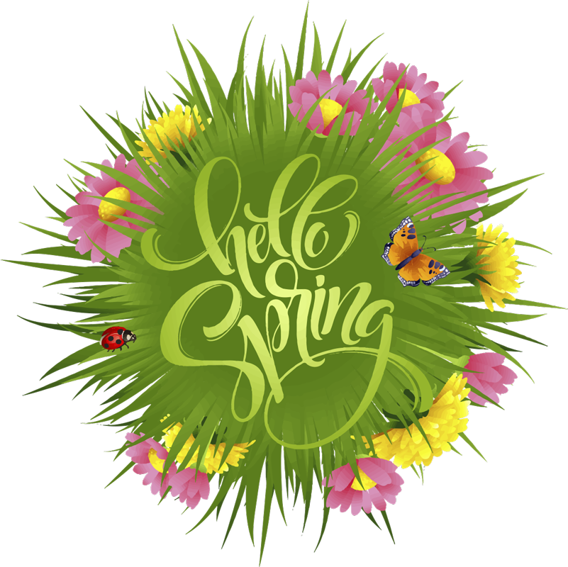 Blomster og planter vinyltæppe forårsmark blomster - TenStickers