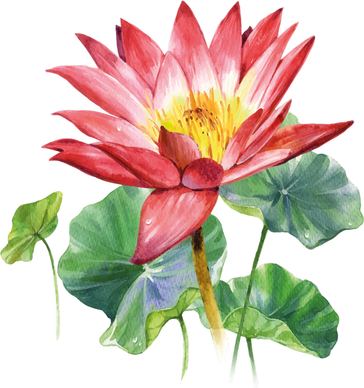 Vinyltæppe til soveværelse lotus akvarel illusion - TenStickers