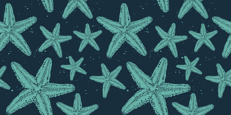 Vinyl tæppe til badeværelset starfish bluetones - TenStickers