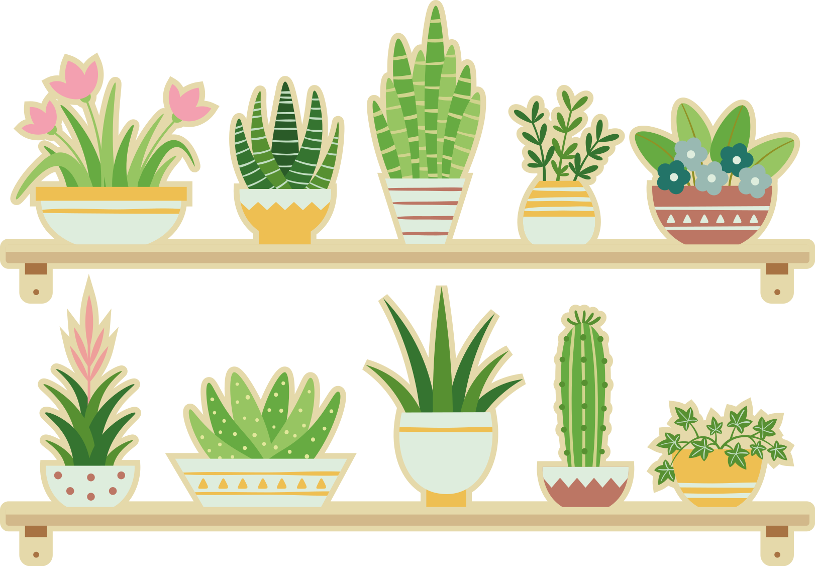 Køkken tæpper cactus plante sæt hylde - TenStickers