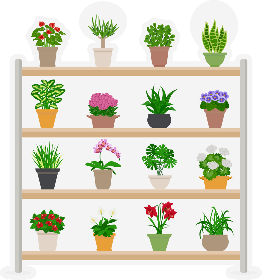 Køkken tæpper med planter på hylder - TenStickers