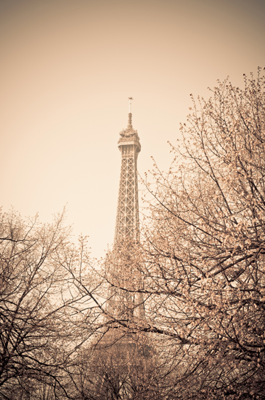 Vinyltæppe til soveværelse med eiffel tårn og træer - TenStickers
