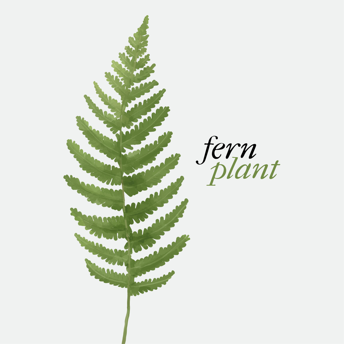 Vinyl tæppe med sætninger fern plante minimalistisk stil - TenStickers
