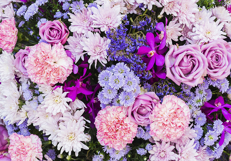Lilla vinyl tæppe med blomster fototapet - TenStickers
