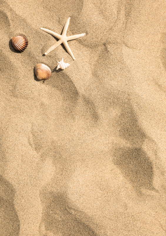 Sommer vibe vinyl tæppe sandsten gulvfliser - TenStickers