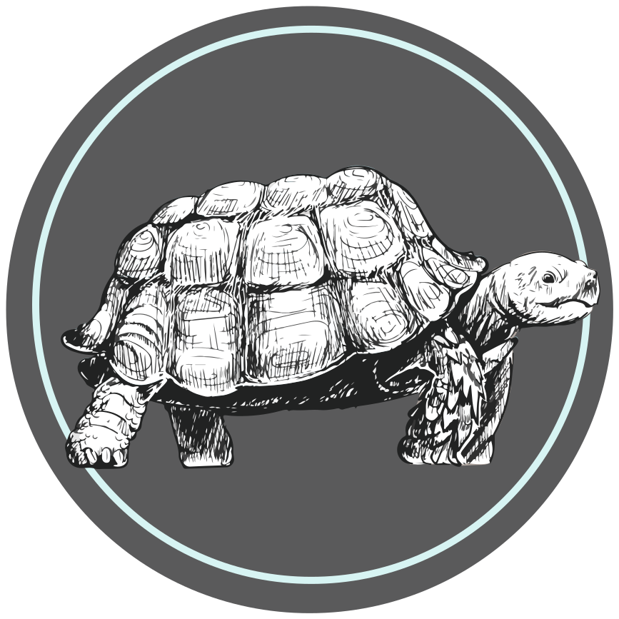 Grøn og brun skildpadde illustration dyretæppe - TenStickers