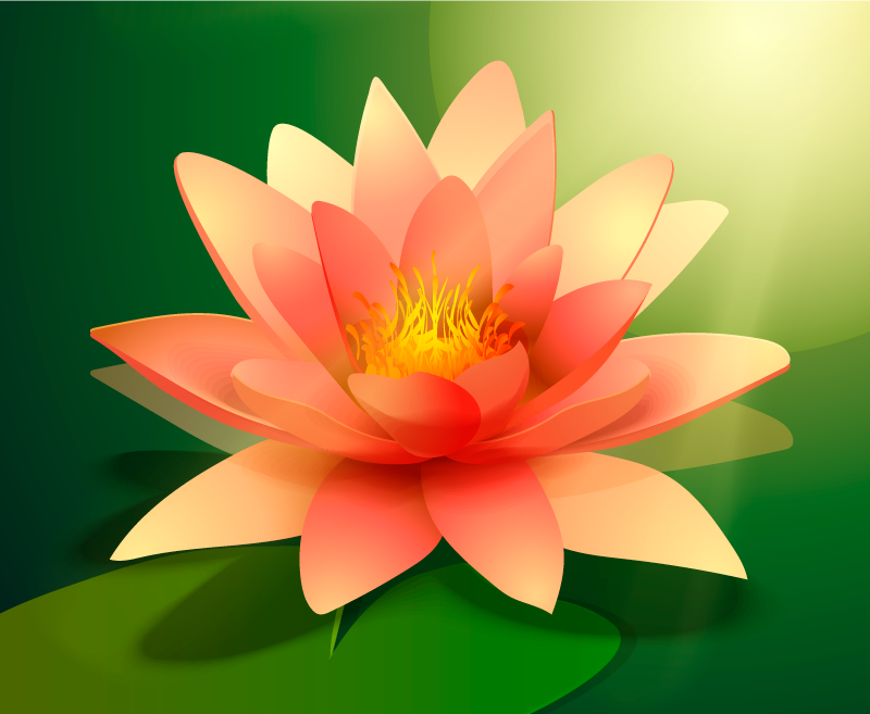 Lotus med skygge blomster vinyl tæppe - TenStickers