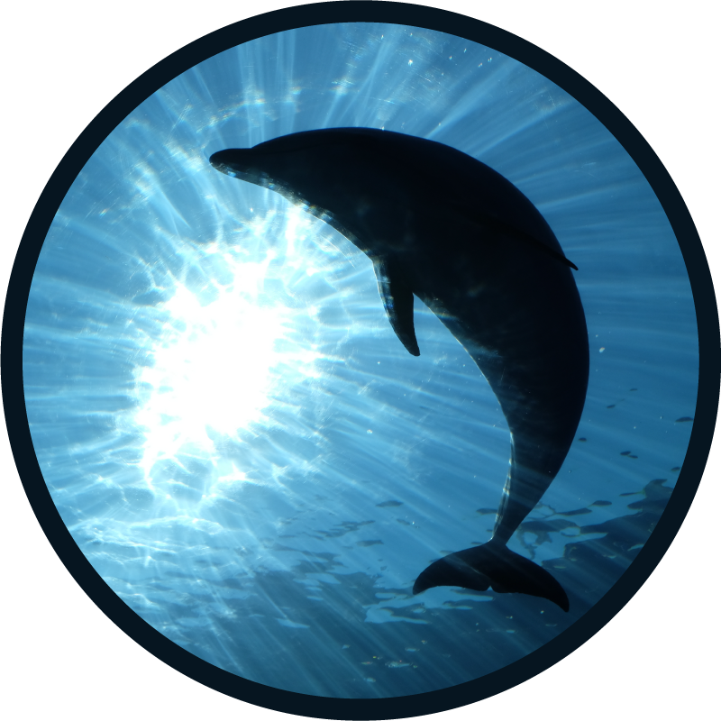 Delfin silhuet dyretæppe - TenStickers