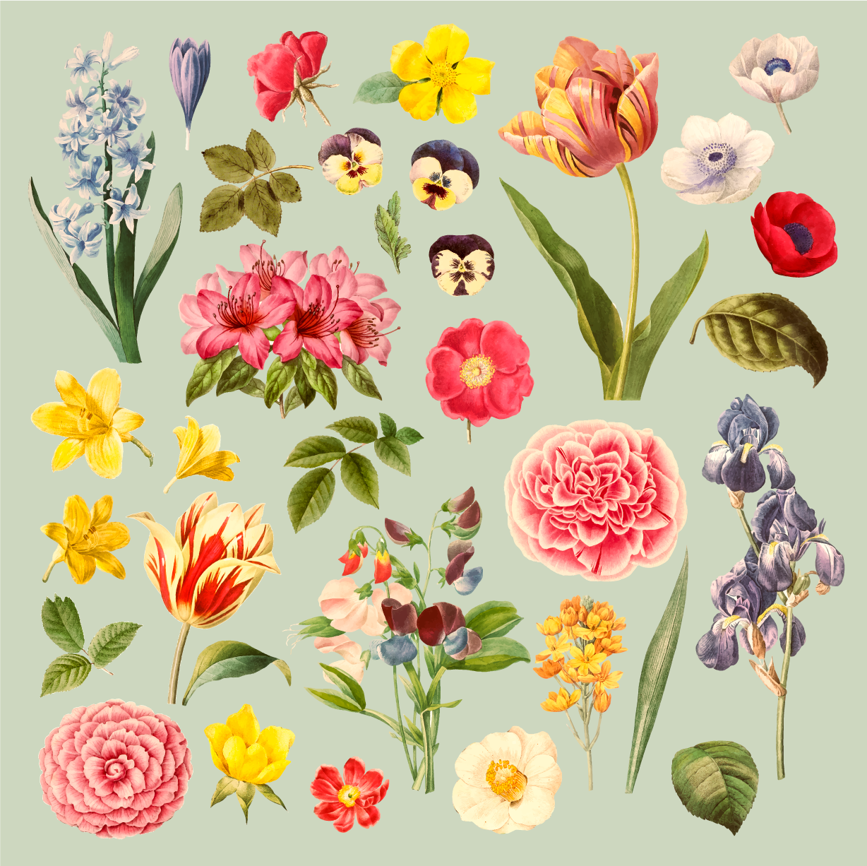 Blomster og planter vinyltæppe botanisk kollektion - TenStickers