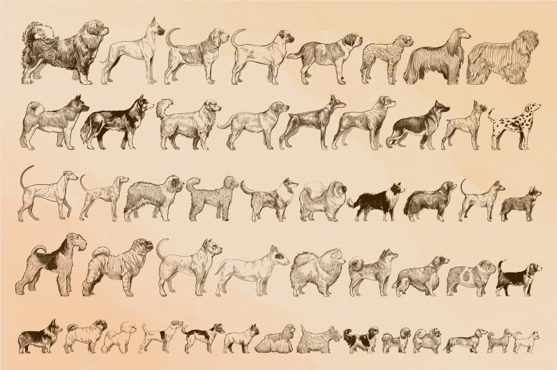 Beige hundeillustrationer vinyltæpper med dyr - TenStickers