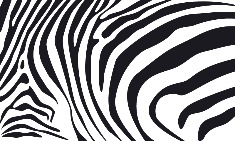 Vinyltæppe med dyreprint zebra linjer - TenStickers