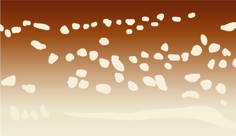 Brun gangsti vinyl tæppe med steneffekt - TenStickers