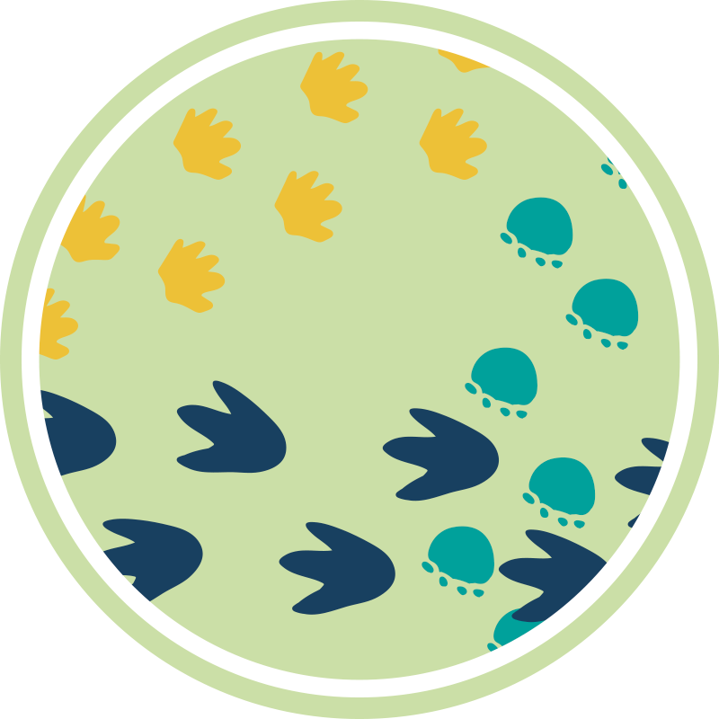 Design af dinosaurfodspor vinyl tæppe - TenStickers