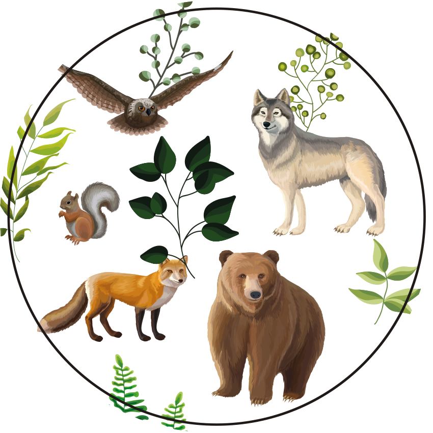 Flere dyr design dyre tæppe - TenStickers