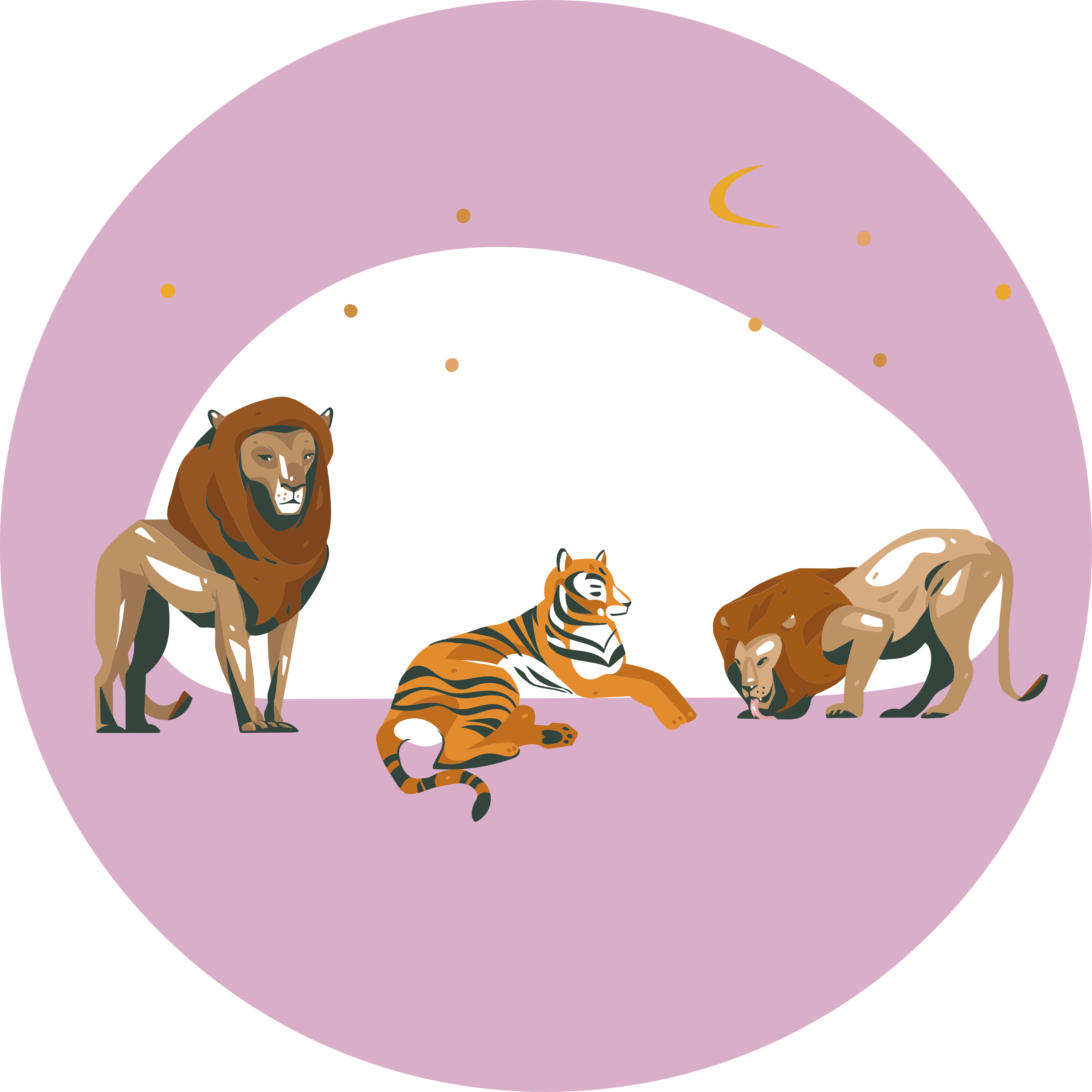 Abstrakt afrikansk safari soveværelse tæppe - TenStickers