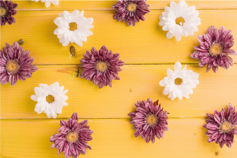 Lyserøde og hvide kronblade Blomster og planter vinyltæppe - TenStickers