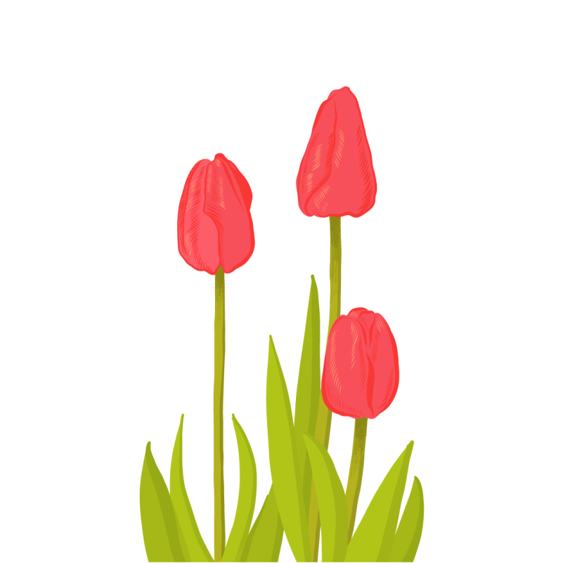 Levende tulipanblomst Blomster og planter vinyltæppe - TenStickers