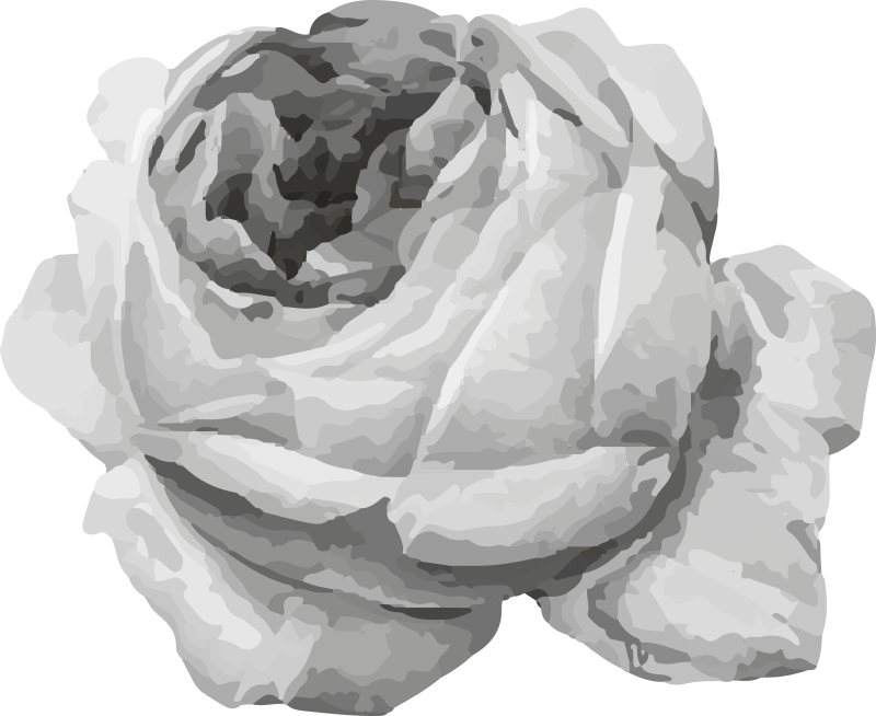 Rosenblomst Blomster og planter vinyltæppe - TenStickers