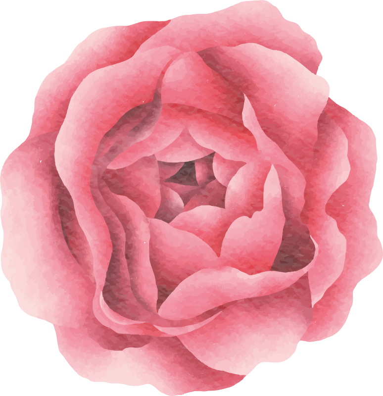 Blush pink blomst Blomster og planter vinyltæppe - TenStickers