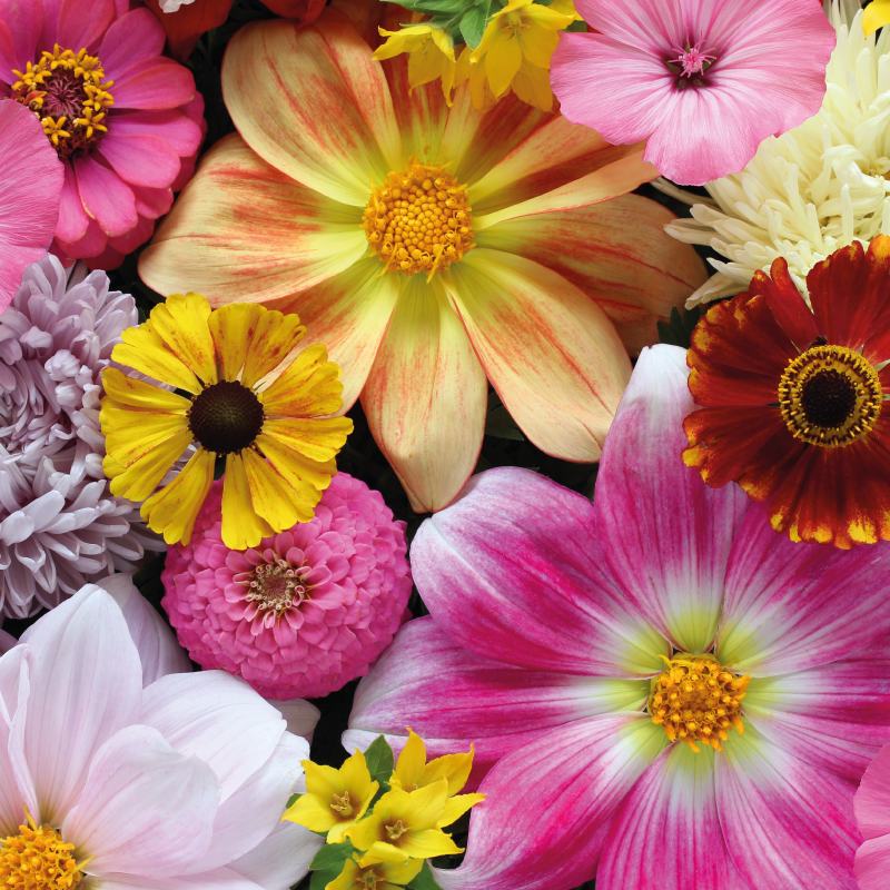 Smukt realistisk arrangement Blomster og planter vinyltæppe - TenStickers