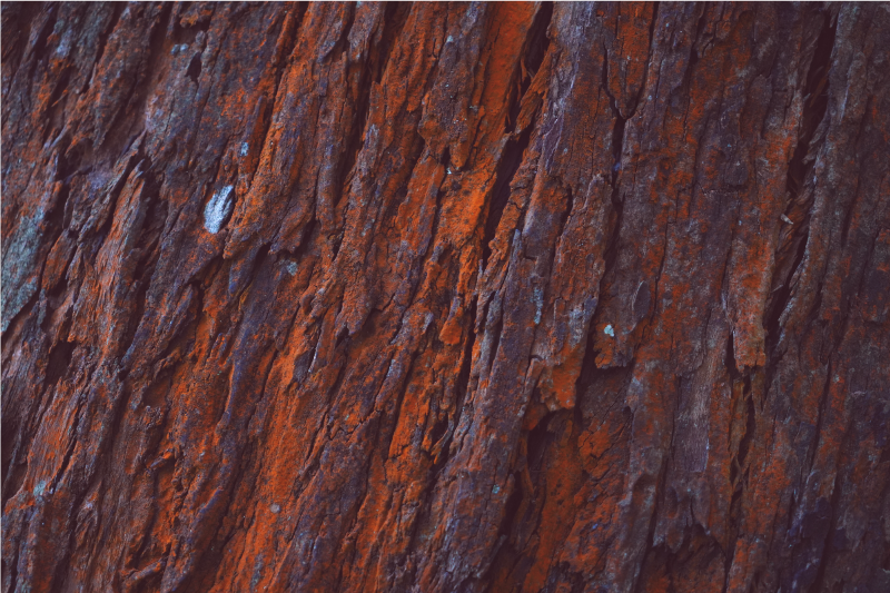 Rustikt træ korn effekt vinyl tæppe - TenStickers