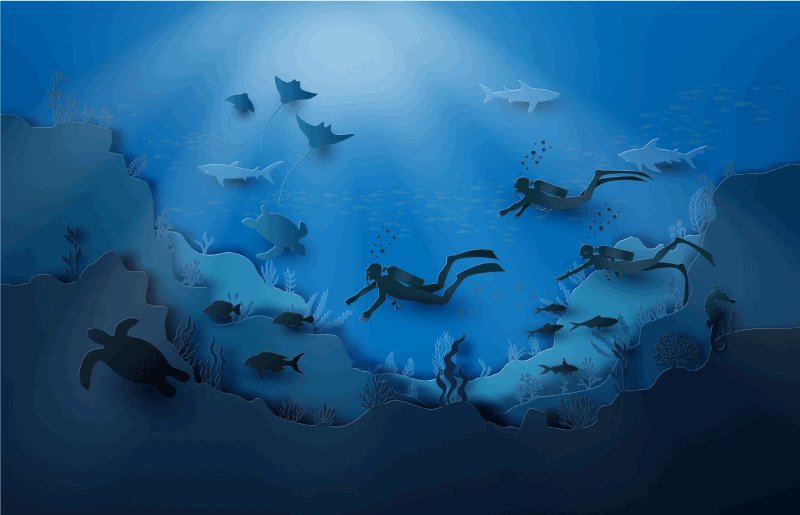 Undervandsudforskning natur vinyl tæppe - TenStickers