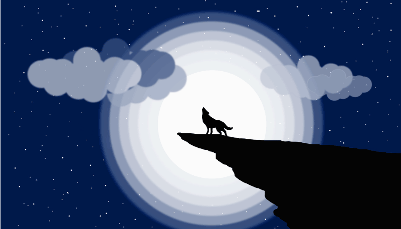 Halvmånehyl vinyl tæppe til teenagere - TenStickers