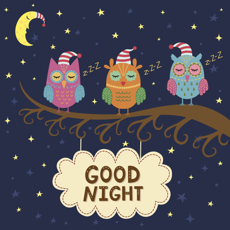 Søvnig ugle trio vinyltæpper med dyr - TenStickers