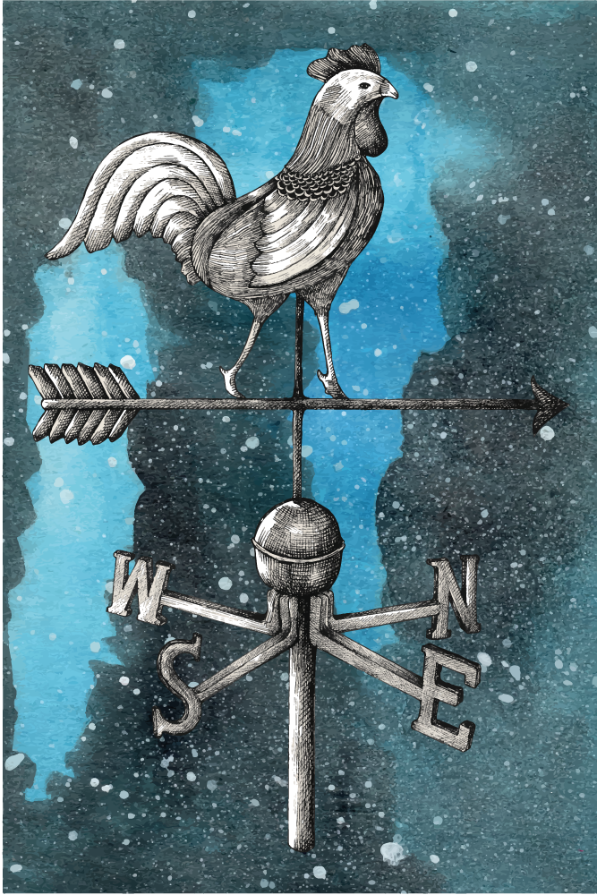 Vejrhane hane vinyl tæppe til teenagere - TenStickers