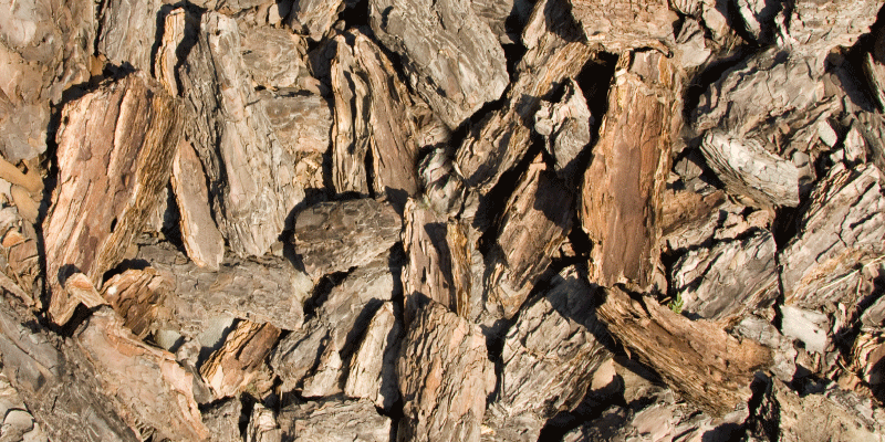 Design af naturligt bark vinyl tæppe med træeffekt - TenStickers