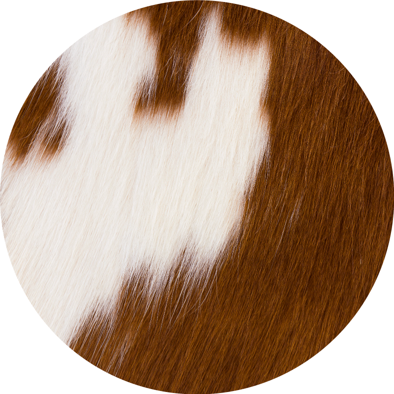 Vinyltæppe med dyreprint i cowhide motiv - TenStickers