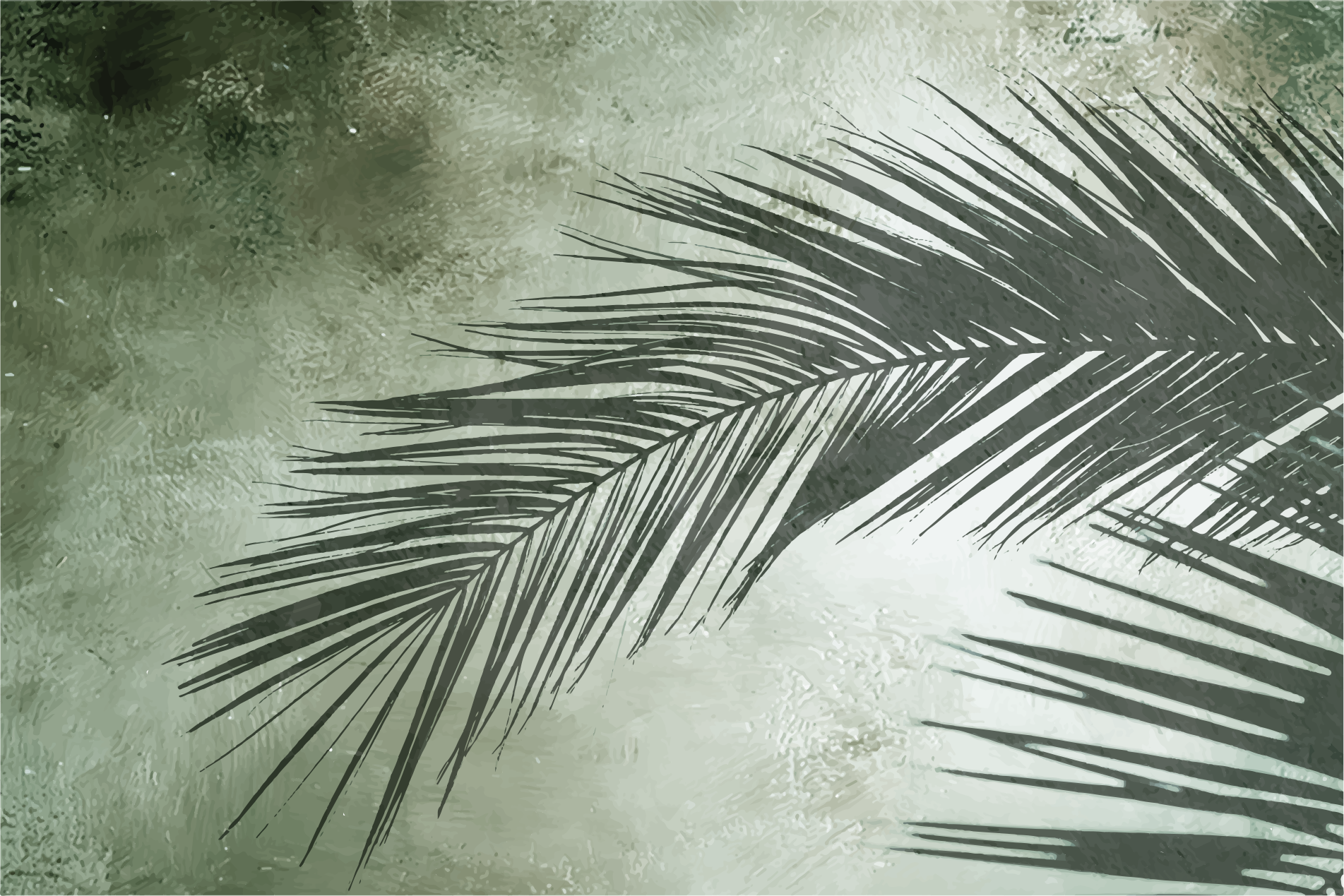 Palmebladets elegance Blomster og planter vinyltæppe - TenStickers