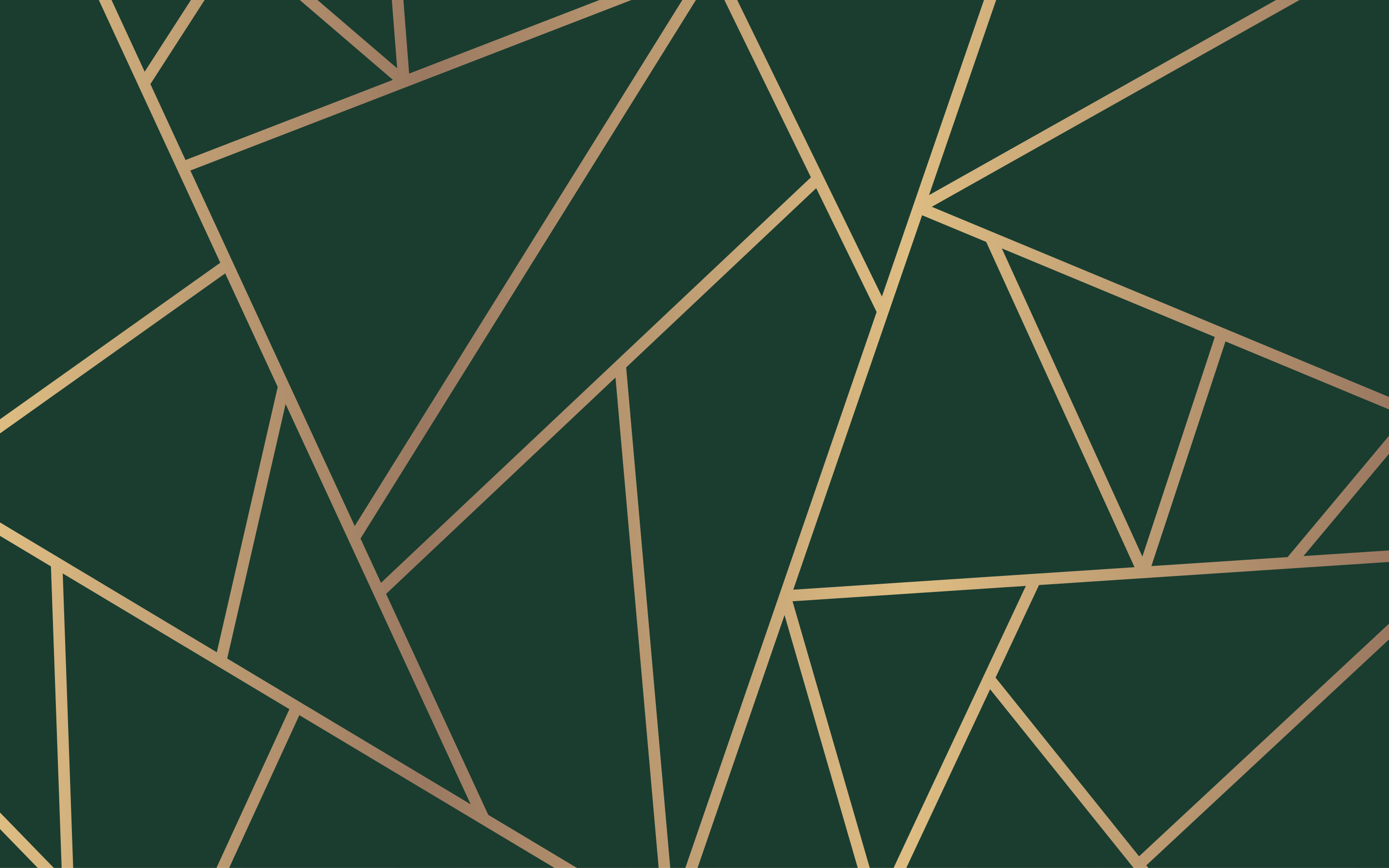 Gyldne linjer flaske grøn baggrund moderne tæppe - TenStickers