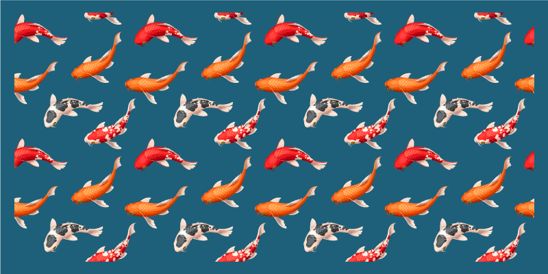 Koi fishes mønster badeværelsesgulve - TenStickers