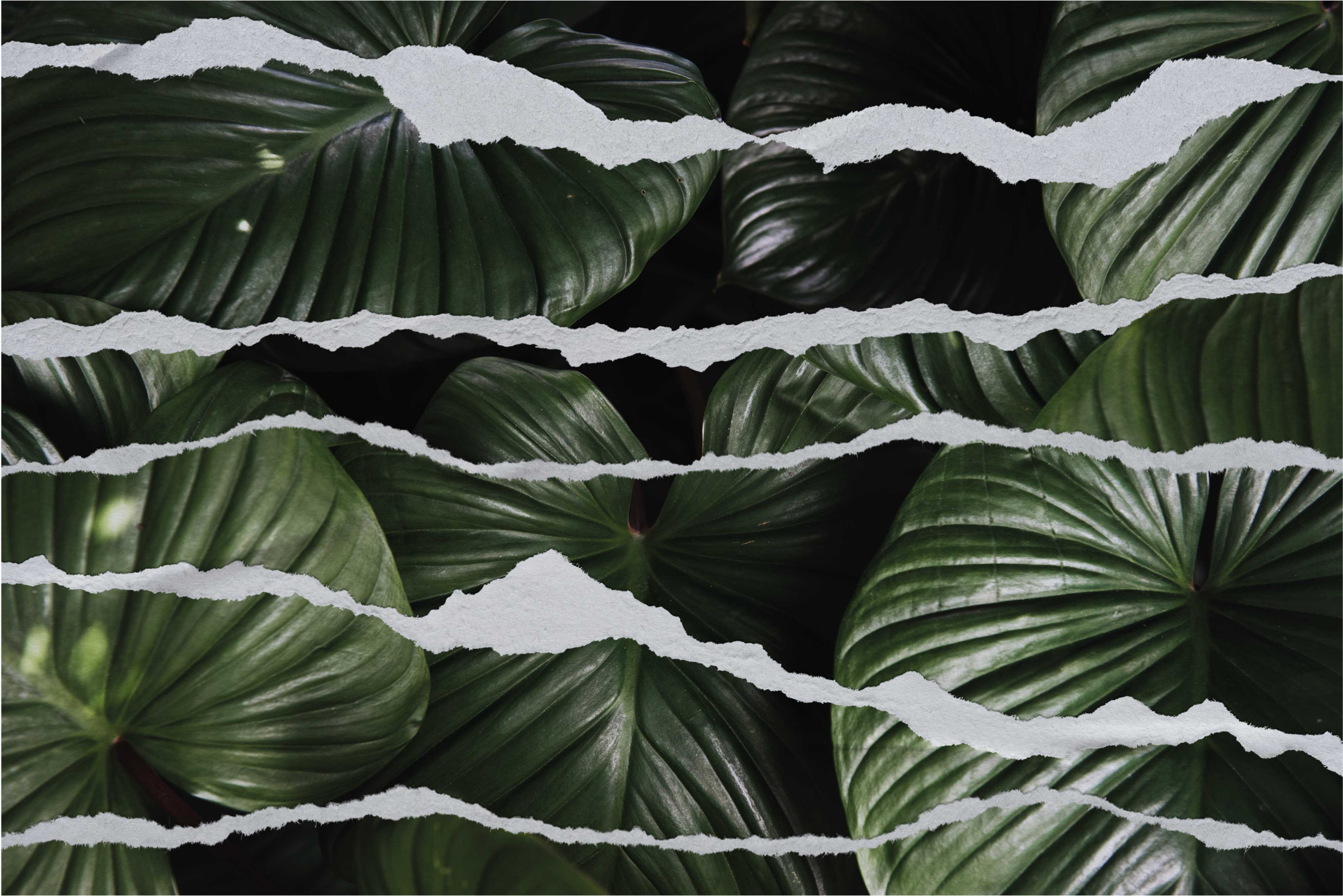 Blad baggrund med rippet papir soveværelsestæppe - TenStickers